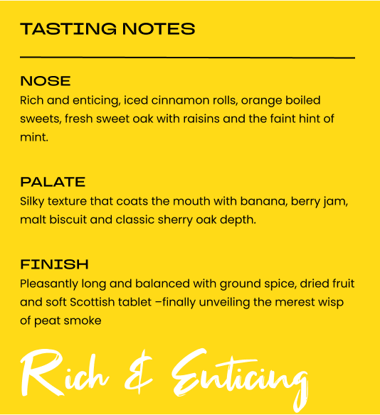 DECEMBER'S MALT OF THE MONTH - TAMDHU 12 AND TWO FREE WHISKY GLASSES