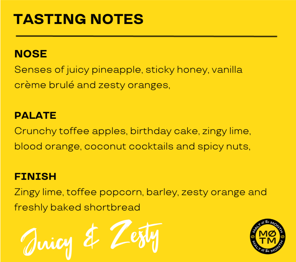 AUGUST MALT OF THE MONTH - The Nite Owl Blended Scotch 40% ABV